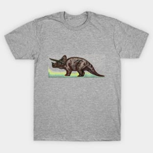 dinosaure T-Shirt